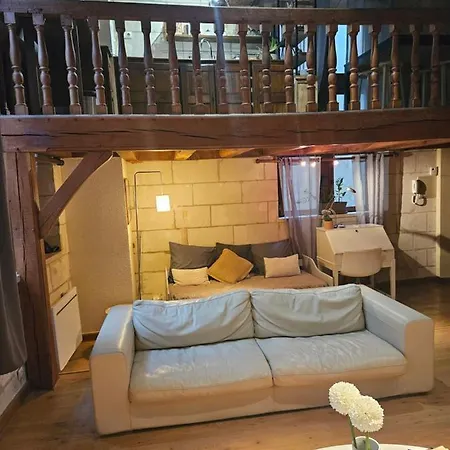 公寓 Robin Quantin In The Heart Of Old 图尔