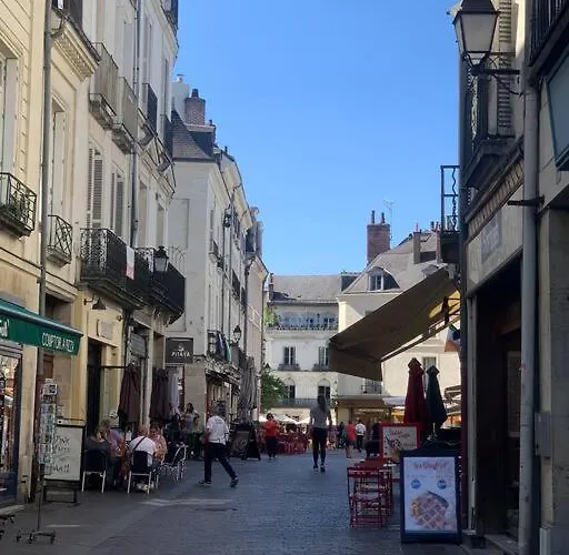 Robin Quantin In The Heart Of Old * Тур